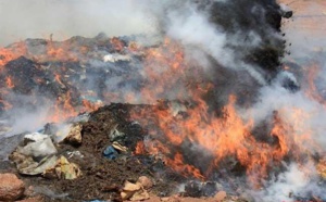 Gandigal : Près de 8 tonnes de chanvre indien et de médicaments incinérés