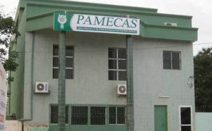 Près de 100 prêts fictifs débusqués: Pamecas-Saint-Louis pillée de l’intérieur 