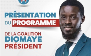 Pour une économie performante et résiliente, sous-tendue par une gestion transparente : Le Programme de la coalition Diomaye-Président