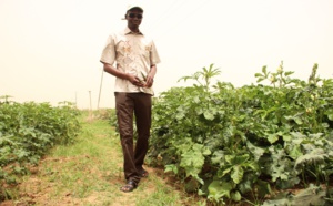 Autosuffisance alimentaire en 2017 : L’homme d’affaires Harona Dia invite l’Etat du Sénégal à s’inspirer du village de Wendu Bosséabé
