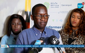 Innovation agricole au Sénégal et en Afrique: Heifer International lance l'AYuTe Africa Challenge 2024