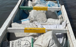 Mbodiène : La Douane intercepte deux pirogues chargées de faux médicaments et de cuisses de poulets impropres à l’alimentation