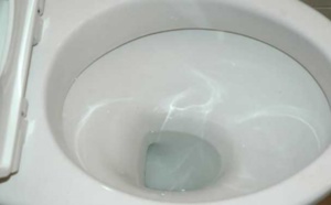 Phobique des toilettes, elle meurt après s’être retenue pendant plus de deux mois