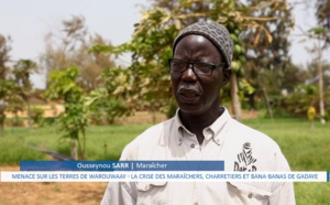 Grand Reportage / Menace sur les terres de "Warouwaay": La crise des maraîchers, charretiers et bana-banas de Gadaye