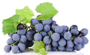 Une grappe de raisin vendue à près de 7.500 euros au Japon