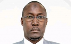 Mamadou Faye, nouveau DG de la  BNDE, Portrait de LedSen