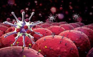 Comment faire mourir le cancer de faim en supprimant ce seul ingrédient