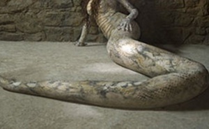 Cameroun: Une femme accusée de se transformer en serpent promet la mort aux populations de Mbang