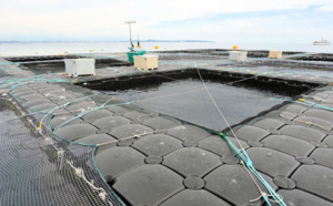 Pêche : Le Premier ministre annonce 14 fermes aquacoles pour la région de Fatick