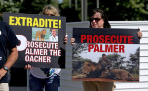 Mort du lion Cécil : Le Zimbabwe veut l'extradition du chasseur américain