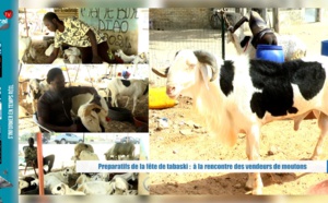 Approche de la fête de la Tabaski:  Les vendeurs de moutons constatent une rareté des clients