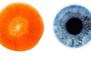 10 aliments qui ressemblent curieusement à la partie du corps pour laquelle ils sont bons !