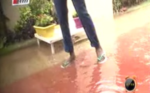 Video - Quand Pape Cheikh patauge dans les locaux de TFM
