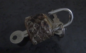 Sur l’avenue Blaise Diagne : Ce cadenas qui permet d’hypnotiser une personne, pour qu’elle satisfasse tous tes désiirs