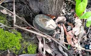 Ziguinchor/Découverte d’une mine antipersonnel à Katouré dans le Nyassia