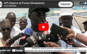Campagne de commercialisation : SONACOS envisage de recruter 7 000 travailleurs saisonniers