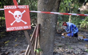 Déminage en Casamance : une lutte pour la sécurité et la valorisation des terres, un défi pour le retour des populations déplacées
