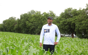 Sédhiou-Le domaine agricole communautaire de Séfa en chiffres : 2096 hectares emblavés, 4.000 emplois directs créés…
