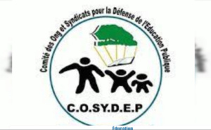 Education : Cosydep donne des recommandations clefs