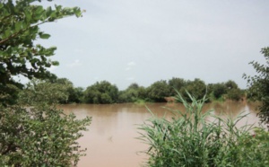 Pluies diluviennes dans le Nord du Pays : Des rizières de Maka Diama, Ronck, Rosso Sénégal et Richard Toll sous l’emprise des eaux