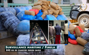 Surveillance maritime : A Fimela, 845 kg de chanvre indien saisis par la Douane au large de Djifère