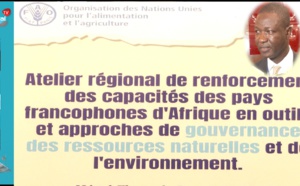 Gouvernance des ressources naturelles : La Fao expose sur la gouvernance des ressources naturelles et la gestion de la biodiversité