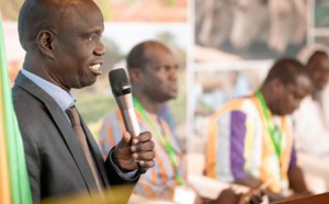 Législatives / Youssou Diom écarté : Le PS de Diofior annonce son retrait de la coalition DIAM AK NJARIN