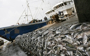 CES GOULOTS QUI ETRANGLENT LE SECTEUR DE LA PECHE