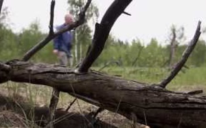 Science &amp; vie - Tchernobyl - Une histoire naturelle ?