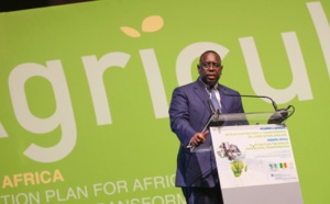 Financement des projets agricoles : Le Président Sall préconise l’implication des banques commerciales