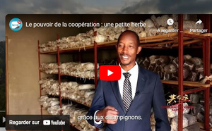 Le pouvoir de la coopération : une petite herbe pour une grande avancée