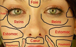 Vos problèmes de peaux sont des signaux de vos organes vitaux ! Découvrez lesquels...