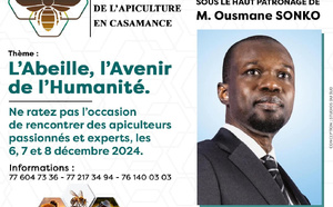 Économie verte : Le Congrès International de l’Apiculture en Casamance, s’ouvre ce vendredi, à Ziguinchor