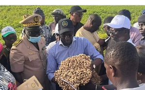 Porokhane : 9 opérateurs économiques arrêtés pour non-respect du prix plancher de l’arachide