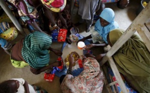 Boko Haram : 20 personnes sauvées par l’armée
