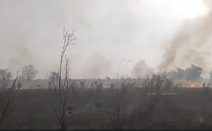 Feu de brousse au village Fass Thiékène / Les vivres consumés : La population sollicite le soutien de l’Etat…