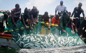 BP, Kosmos Energy, Petrosen et les récifs artificiels : Sénégal Debout dénonce un « scandale », qui bafoue les droits des pêcheurs de Saint-Louis