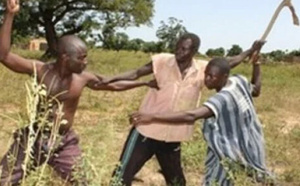 Conflits agriculteurs-éleveurs à Ndiogoye : Ismaïla Sow intervient pour apaiser les tensions