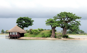 Un organisme de gestion de destination réinventé afin de promouvoir le Delta du Sine Saloum : Innovation dans l’Etourisme au Sénégal