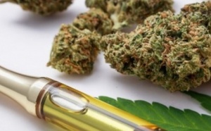 Trafic de e-cannabis au Sénégal : L'Ocrtis démantèle un réseau international