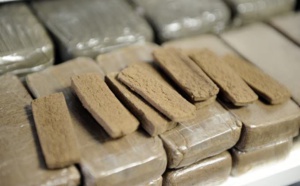 Trafic de chanvre indien : Deux dealers tombent avec 100 kilos