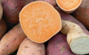 15 bonne raisons de consommer les patates douces