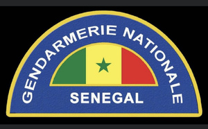Profération de menaces et injures chez la mère du PM Ousmane Sonko : Ce que l’auteur a dit aux enquêteurs