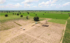 Souveraineté alimentaire : 50 fermes modernes financées pour renforcer l'agriculture communautaire au Sénégal