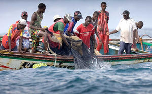 Kafountine : Le corps d'un pêcheur découvert à Saloulou