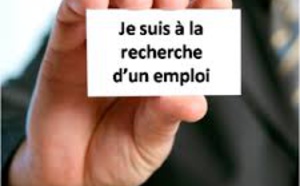 Leral/job: Un  jeune  diplômé en infographie et  vidéographie cherche emploi