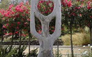 Il a passé 40 ans de sa vie à transformer des arbres en véritables œuvres d'art, et le résultat est vraiment bluffant ! Du jamais vu...
