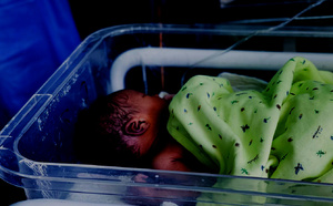 Drame et colère des populations à Bassoul : Une mère et son bébé meurent faute de sage-femme