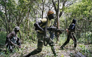 Attaque armée à Djinaky :  Le clan Diakaye dégage toute implication dans cette forfaiture
