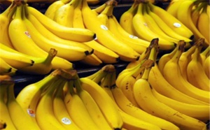 La banane a rapporté 6,5 milliards de FCFA aux producteurs en 2015